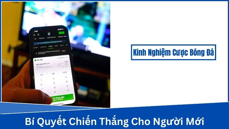 Kinh Nghiệm Cược Bóng Đá - Áp dụng chiến lược đặt cược