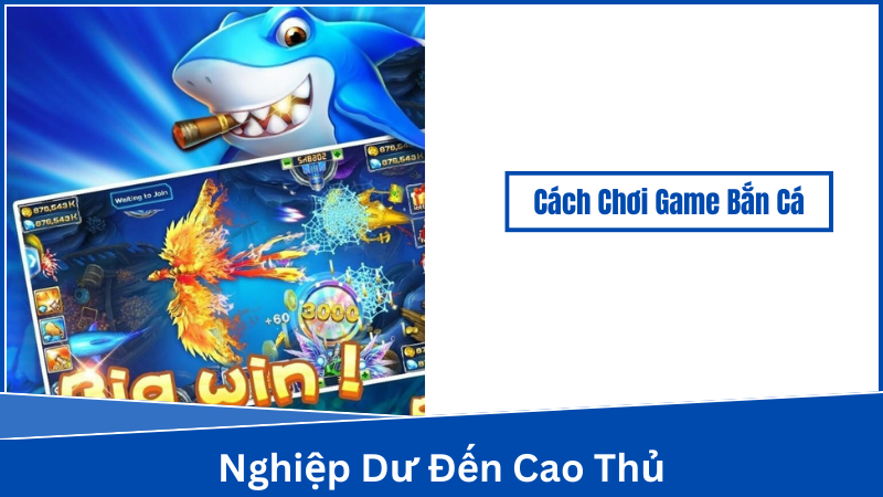 Cách Chơi Game Bắn Cá - Bắt đầu với những cấp độ dễ