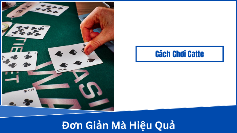 Câu hỏi thường gặp