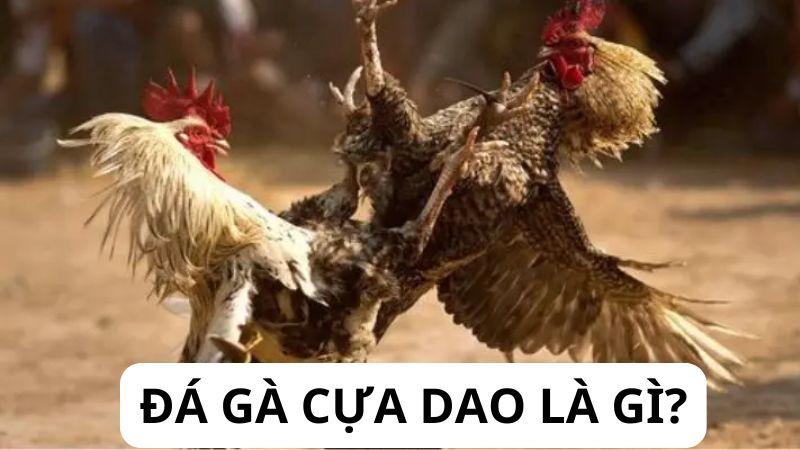 Giới thiệu lịch sử của Đá Gà Cựa Dao