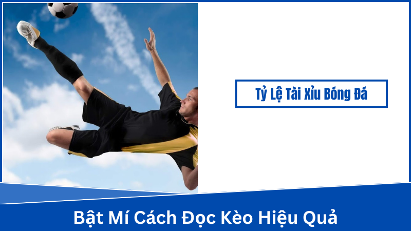 Các thành phần tác động đến tỷ lệ tài xỉu bóng đá