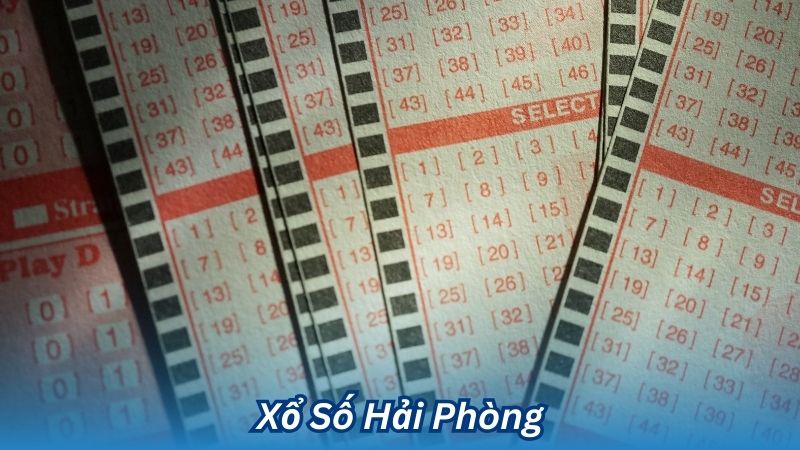 Xổ Số Hải Phòng